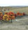 Woodland Scenics Ready Made Realistic Trees™ Value Pack - Deciduous - Fall Colors (Pack of 38)[3.75in.-2in. (1.8cm-5cm) Tall]