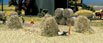 Busch Gmbh und Co Kg Hay Bale Set