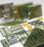 Busch Gmbh und Co Kg Forest/Meadow Starter Set
