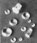 Detail Associates Clear Classification Lights – 4-1/2in. (.052in.) Diameter