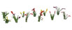 JTT Scenery Products Assorted Flower Plants Set #2 (Pack of 10)