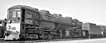 Precision Craft Models Cab-Forward AC-12 4-8-8-2 w/LokSound - Southern Pacific No. 4294