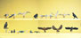 Preiser Kg Pigeons, Seagulls, Crows & Birds Of Prey