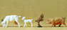 Preiser Kg Goats And Hogs