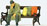 Click to See