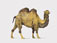 Preiser Kg Camel