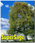 Scenic Express SuperSage™ Super Value Case