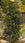 Scenic Express SuperTreeT Value Pack