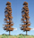 Timberline Scenery Co. Pine Trees - Deadwood Brown (4in. - 6in. Tall)