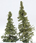 Timberline Scenery Co. Pine Trees - Timberline Green (4in. - 6in. Tall)