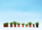 Walthers SceneMaster™ Botanicals™ - Potted Foliage Plants