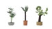 Walthers SceneMaster Botanicals™ - Tropical Plants (Pack of 3)