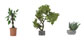 Walthers SceneMaster Botanicals™ - Large Decorative Plants (Pack of 3)