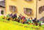 Walthers SceneMaster™ Botanicals™ - Flower Garden