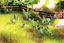 Walthers SceneMaster™ Botanicals™ - Wild Flowers