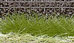 Walthers SceneMaster Botanicals™ Grass Tufts - Summer
