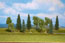 Walthers SceneMaster Mixed Deciduous & Pine Trees, 3.375 to 5.5 in. (8.5cm to 14cm) Tall - (Pack of 10)