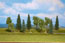 Walthers SceneMaster Mixed Deciduous & Pine Trees, 1.5625 to 3.375 in. (3.9cm to 8.5cm) Tall - (Pack of 10)