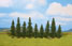 Walthers SceneMaster Fir Trees, 3.125 to 4.75 in. (8cm to 12cm) Tall - (Pack of 9)
