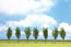Walthers SceneMaster Poplar Trees, 3.125 in. (8cm) Tall - (Pack of 7)