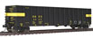 WalthersMainline 50' Coal Gondola - Detroit Edison DEEX 8006 (Rotary End Stripes)
