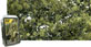 Woodland Scenics Fine Leaf Foliage (75 Cu.In.) - Olive Green