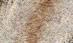 Thumbnail Image 2