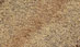 Thumbnail Image 2