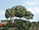 Woodland Scenics Forest Canopy - Medium Green