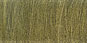 Click to See