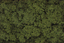 Woodland Scenics Clump Foliage Light Green