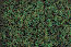 Woodland Scenics Clump Foliage Medium Green