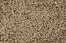 Click to See
